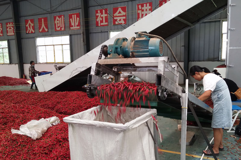 網帶式辣椒烘干機可連續的烘干辣椒